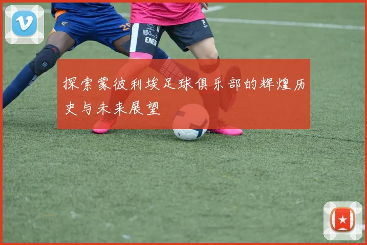 探索蒙彼利埃足球俱乐部的辉煌历史与未来展望