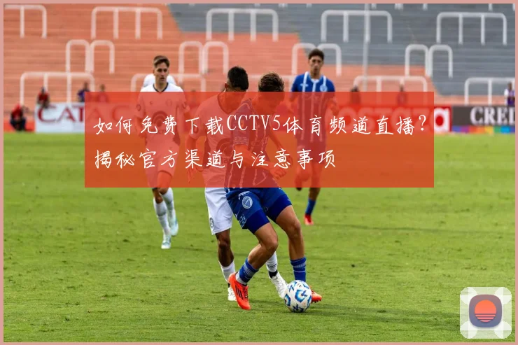 如何免费下载CCTV5体育频道直播？揭秘官方渠道与注意事项